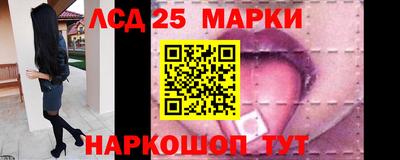 дурь Бердск