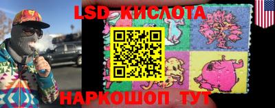 дурь Бердск