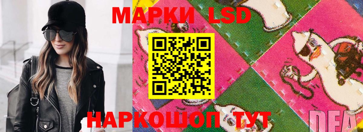 Марки NBOMe 1,5мг  Марки NBOMe 1,5мг  Вход с VPN  Прохладный 
